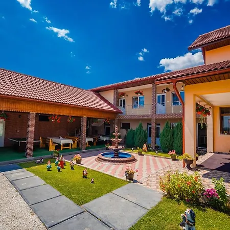 Guest house Pensiunea Adrian *